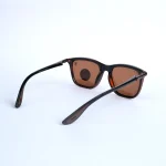 Polarized Brown 443 - Image 3