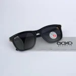 Polarized Black 444