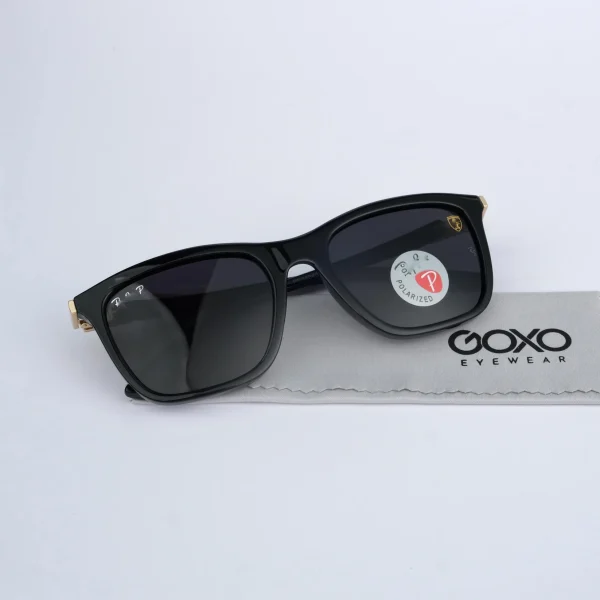 Polarized Black 444