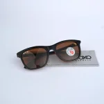 Polarized Brown 443