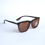 Polarized Brown 443 - Image 2