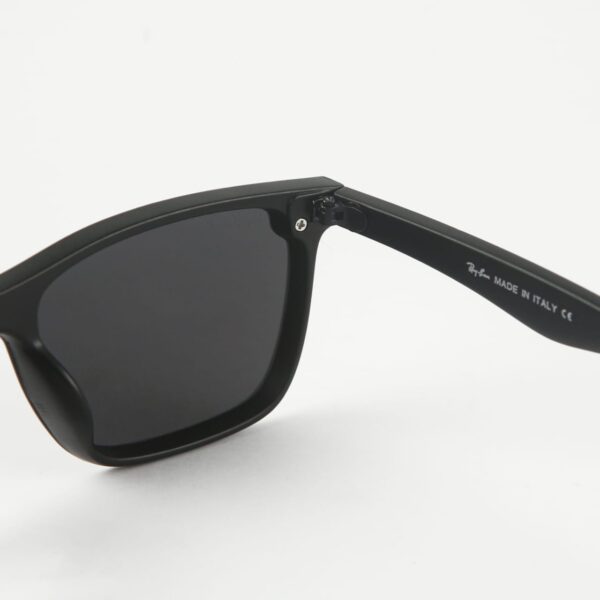 Ray ban Polarized Sunglass RB
